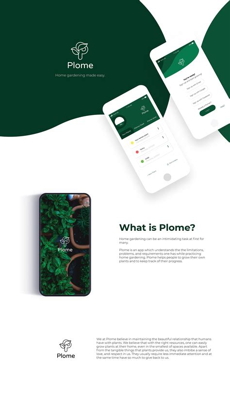 UI/UX & Branding- Plome on Behance