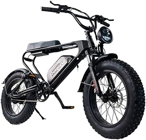 W Electric Bike Of Freego Dk Electric Bike For Adults With