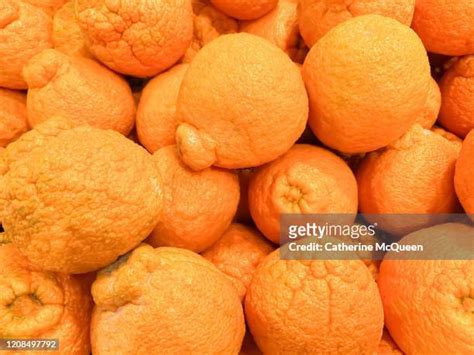 Sumo Mandarin Oranges Photos And Premium High Res Pictures Getty Images