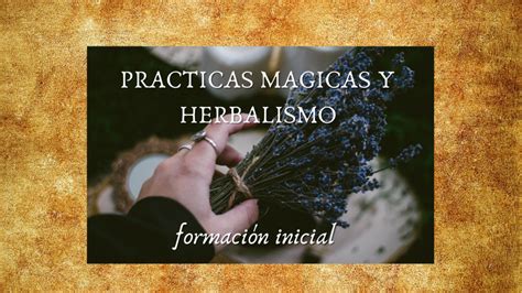 Pr Cticas M Gicas Y Herbalismo Formaci N Inicial Academia Bruja Lunar