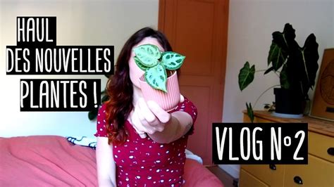 Vlog Haul Plantes D Coration Et Rempotage Youtube