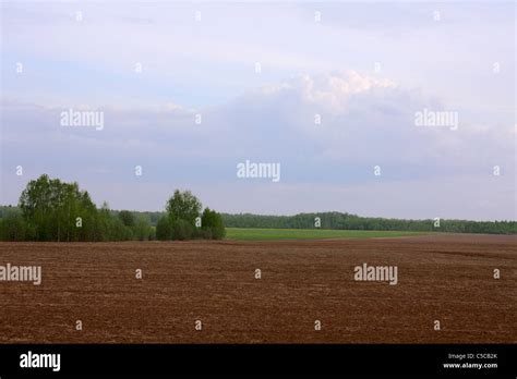 background of sky with clouds and grass Stock Photo - Alamy