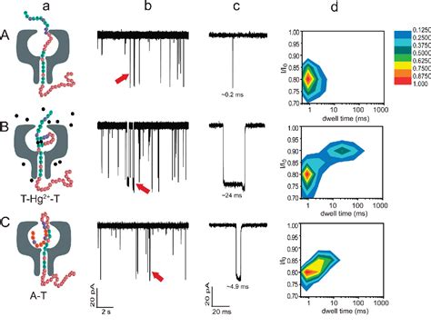 Figure 2 From Highly Sensitive And Selective DNA Based Detection Of