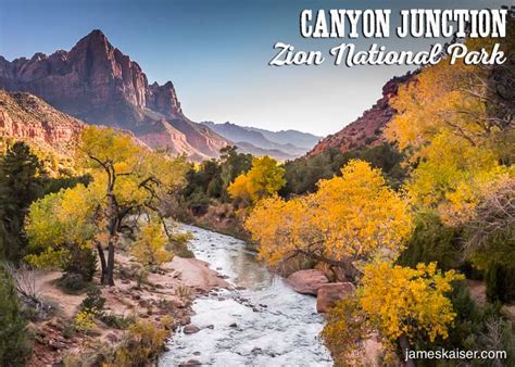 Golden Cottonwoods Above The Virgin River At Canyon Junction In Autumn