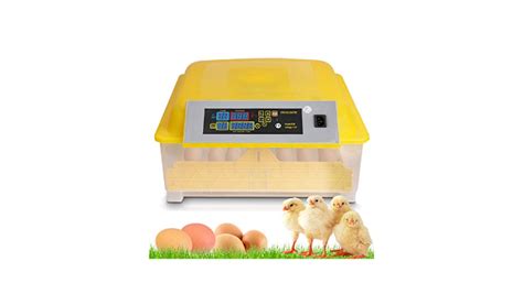 Egg Incubator With Automatic Turning Eggs Incubator With