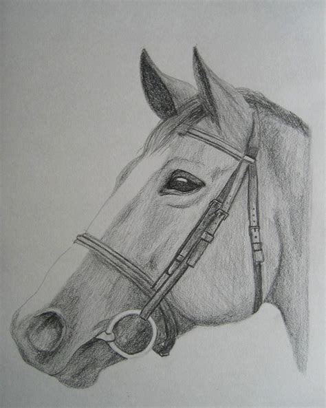 pencil sketch - horse art | Horse sketch, Equine art, Horse art