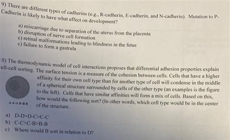 Solved 9) There are different types of cadherins (e.g., | Chegg.com