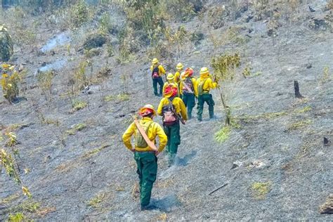 Monitorean Y Combaten 12 Incendios Forestales En Petén VipetÉn