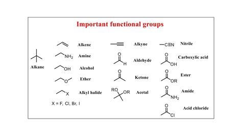 Important Functional Groups Youtube