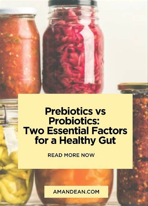 Prebiotics Vs Probiotics Two Essential Factors For A Healthy Gut