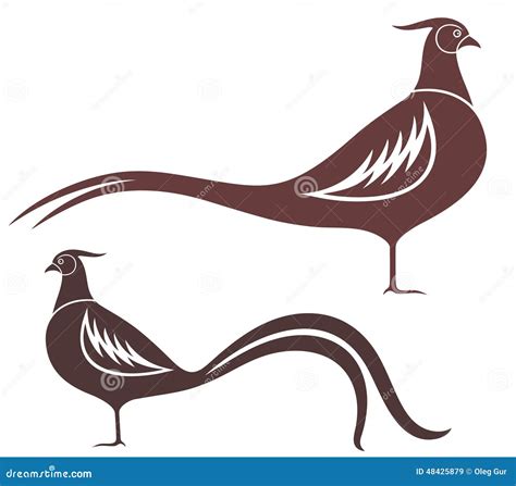 Pheasant Stock Vector Illustration Of Necked Hunting 48425879