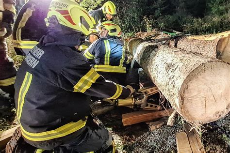 FF Bad Goisern Einsatzübung Forstunfall