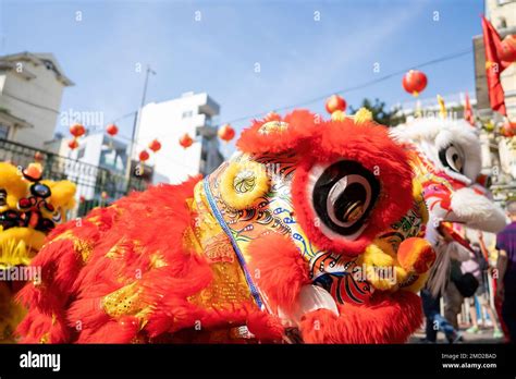 Dragon And Lion Dance Show In Chinese New Year Festival Tet Festival