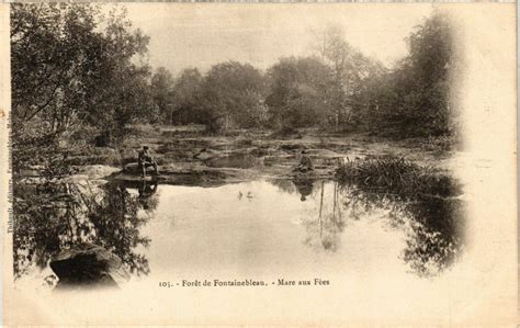 Foret de Fontainebleau Mare aux Fées à Fontainebleau