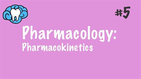 Understanding Pharmacokinetics The Journey Of Drugs Through The Body