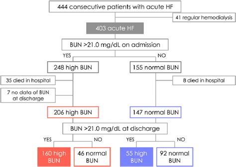 Understanding Blood Urea Nitrogen To Creatinine Ratio Off