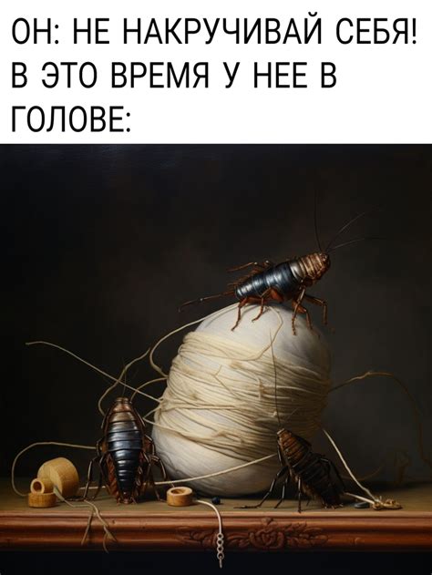 Таракашки | Пикабу