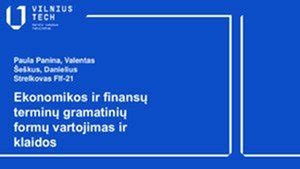 Ekonomikos Ir Finans Termin Gramatini Form Vartojimas Ir Klaidos