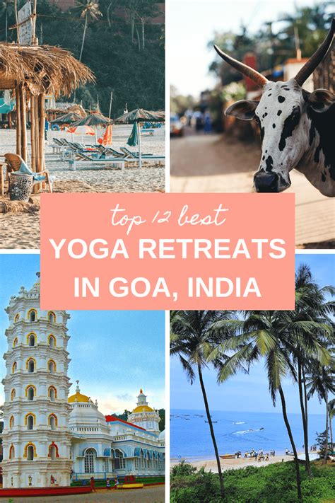 Top 8 Best Yoga Retreats In Goa India 2025 The Yogi Wanderer