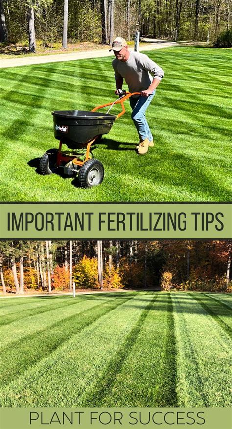 Important Fertilizing Tips Artofit