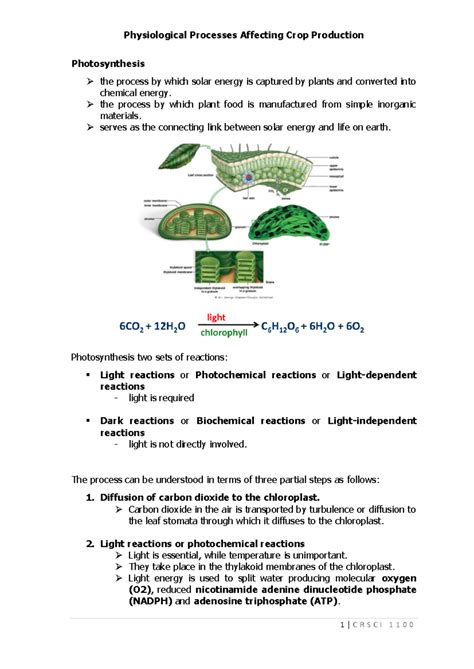 Photosynthesis - Physiological Processes Affecting Crop Production Photosynthesis the process by ...