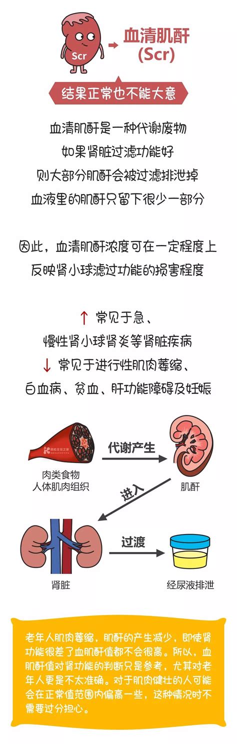 慢性肾脏病 肾功能指标主要看肌酐吗？江西健乐医疗科技有限公司