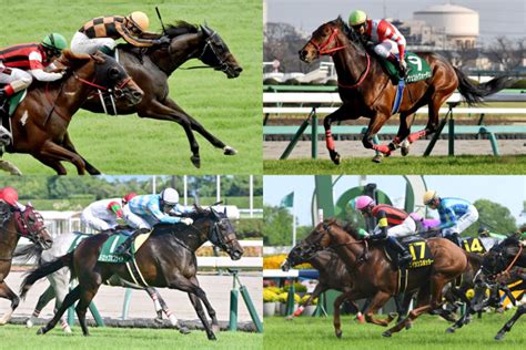 【京阪杯展望】混戦模様の電撃戦 実績馬と新興勢力が真っ向勝負！ 外差し馬場で要注意の存在も東スポ競馬 Goo ニュース