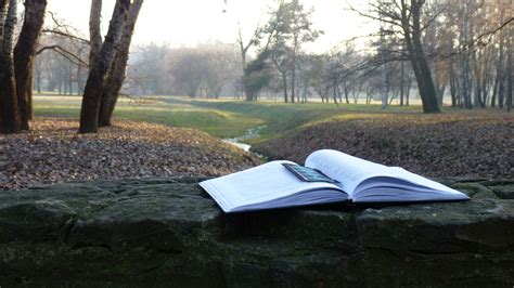 Parcul „Dendrarium” | Chisinau, Chisinau moldova, Moldova