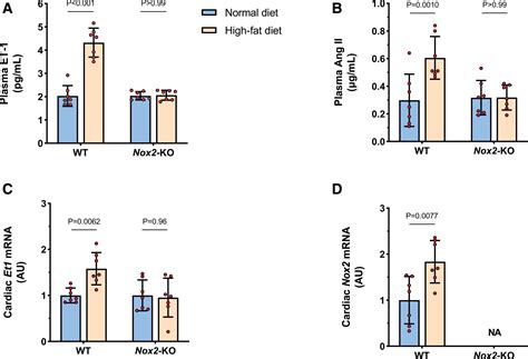 Ang II Promotes ET 1 Production By Regulating NOX2 Activity Through