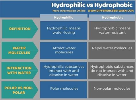 Difference Between Hydrophilic And Hydrophobic Compare The Difference