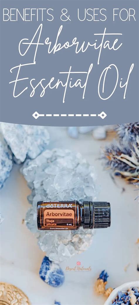 Arborvitae Essential Oil Uses Diffuser Blends And Recipes