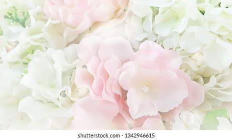 Blurred Flowers Background Use Stock Photo 1342946615 | Shutterstock