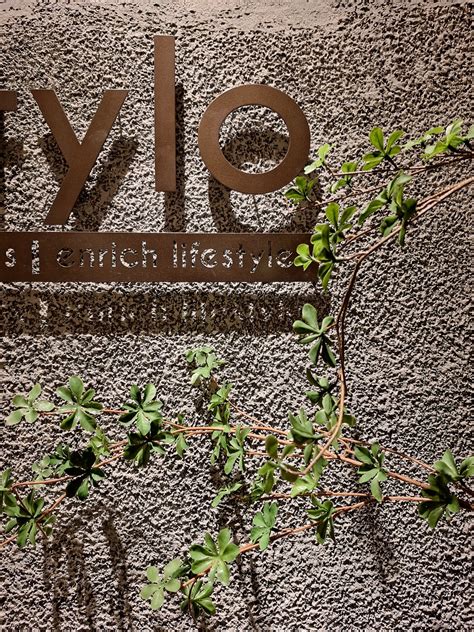 Archi Wall Craft