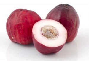 Fruta Com Núcleo Que Tem J - Fruta com J: Lista de frutas que começam com a letra J