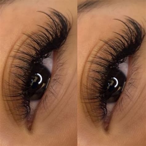 Wispy Hybrid Set In 2023 Cat Eye Lash Lashes Fake Eyelashes Eyelash