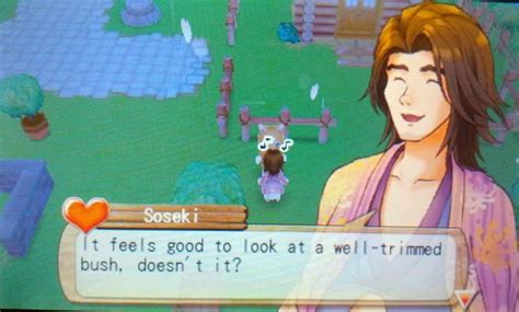 Pervy Soseki From Harvest Moon A New Beginning Harvest Moon Night