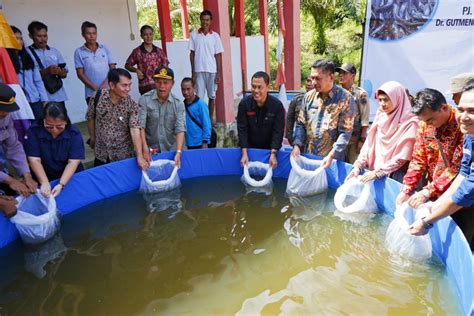 Pemkab Landak Komitmen Tingkatkan Konsumsi Ikan Lewat Bantuan Benih