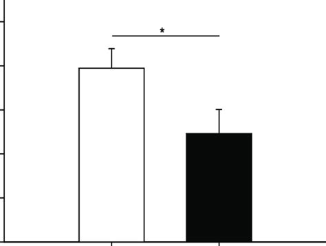 A Scheme Of The Contextual Fear Conditioning Paradigm In Experiment 4