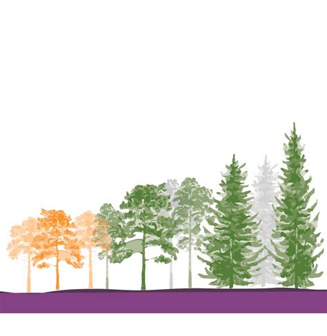 Overview of Sustainable Forestry - woodSMART : woodSMART