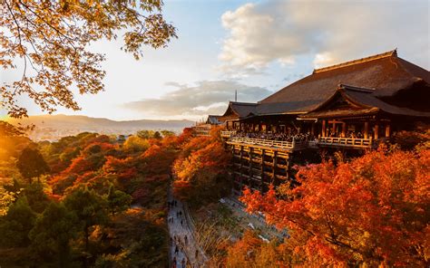 Paket Tour Jepang 7 Hari 7D6N Musim Gugur Jepang Oktober 2023 Tokyo