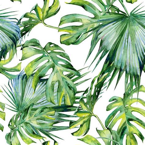 Seamless Watercolor Illustration Of Tropical Leaves Dense Jungle