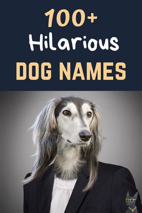 Hilarious Dog Names Yocanine