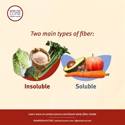 1 Simple Solution To Increase Your Daily Fiber Intake Santa Cruz Core