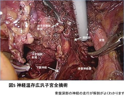 産婦人科 診療科・部門一覧 富山県立中央病院