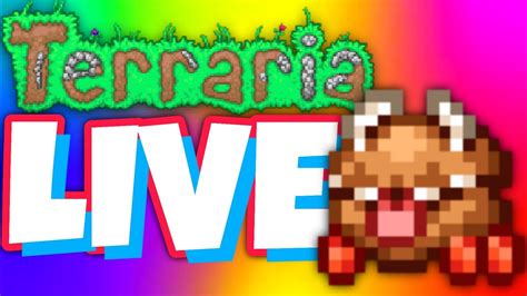 Terraria Live Youtube