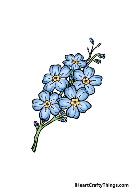 Forget Me Not Flowers Drawing