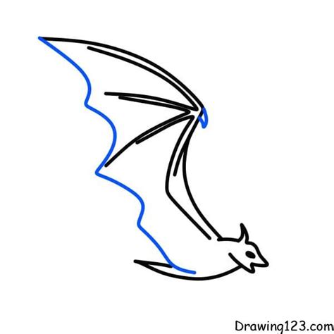 How To Draw Bat Wings Step By Step