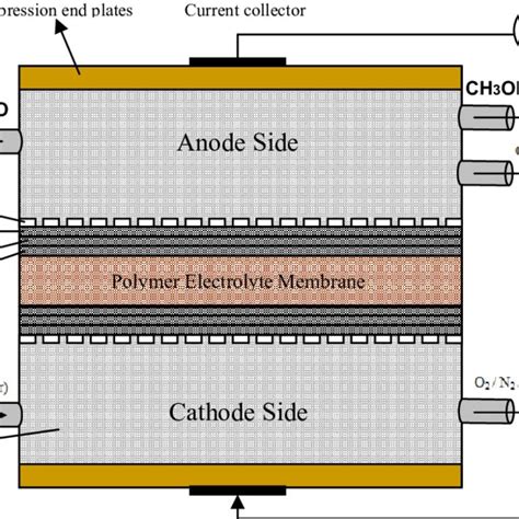 7 Schematic Of Direct Methanol Fuel Cell Download Scientific Diagram