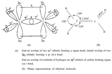 Explain What Is Meant By Sp2 Hybridisation At Carbon