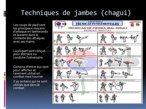 Le Taekwondo Par Iñaki Allegue